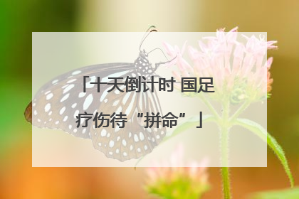 十天倒计时 国足疗伤待“拼命”