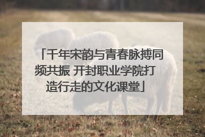 千年宋韵与青春脉搏同频共振 开封职业学院打造行走的文化课堂