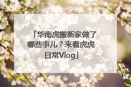 华南虎搬新家做了哪些事儿？来看虎虎日常Vlog