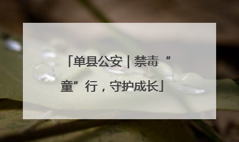 单县公安｜禁毒“童”行，守护成长