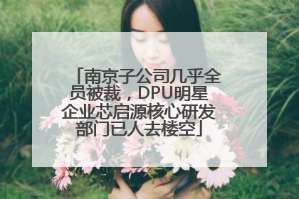 南京子公司几乎全员被裁，DPU明星企业芯启源核心研发部门已人去楼空
