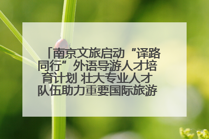 南京文旅启动“译路同行”外语导游人才培育计划 壮大专业人才队伍助力重要国际旅游目的地建设