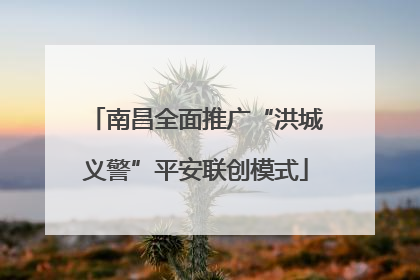 南昌全面推广“洪城义警”平安联创模式