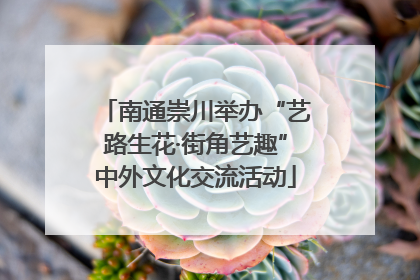 南通崇川举办“艺路生花·街角艺趣”中外文化交流活动