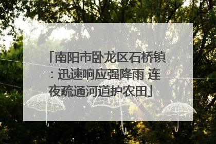 南阳市卧龙区石桥镇：迅速响应强降雨 连夜疏通河道护农田