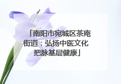 南阳市宛城区茶庵街道：弘扬中医文化 把脉基层健康
