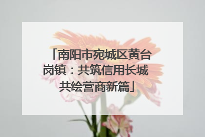 南阳市宛城区黄台岗镇：共筑信用长城 共绘营商新篇