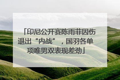 印尼公开赛陈雨菲因伤退出“内战”，国羽各单项唯男双表现差劲