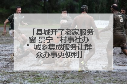县城开了老家服务窗 景宁“村事社办”城乡集成服务让群众办事更便利