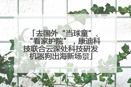 去国外“当球童”、“看家护院”，康迪科技联合云深处科技研发机器狗出海新场景