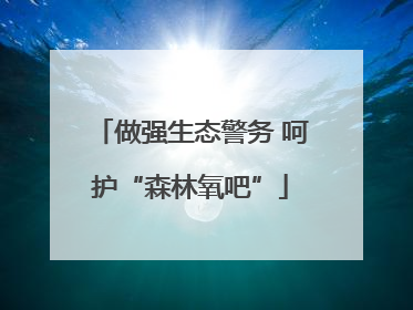 做强生态警务 呵护“森林氧吧”