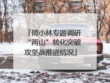 傅小林专题调研“两山”转化突破攻坚战推进情况