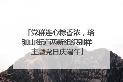 党群连心粽香浓，珞珈山街道两新组织别样主题党日庆端午