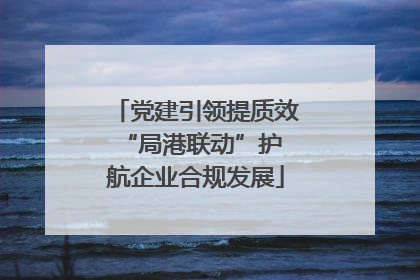 党建引领提质效 “局港联动”护航企业合规发展