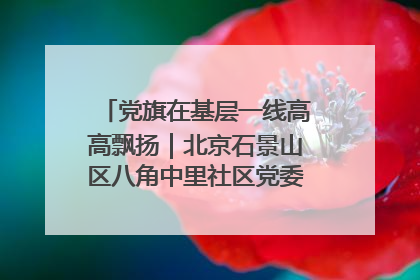 党旗在基层一线高高飘扬｜北京石景山区八角中里社区党委：用脚步丈量民生