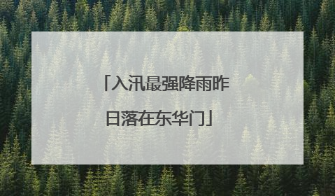 入汛最强降雨昨日落在东华门