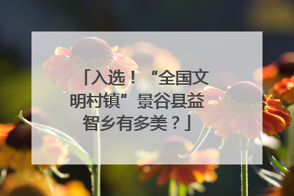 入选！“全国文明村镇”景谷县益智乡有多美？