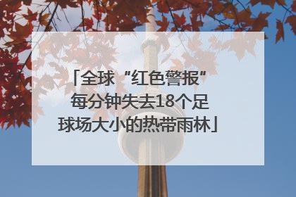 全球“红色警报”  每分钟失去18个足球场大小的热带雨林