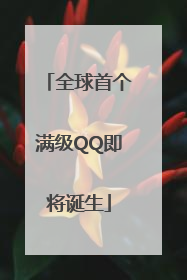 全球首个满级QQ即将诞生