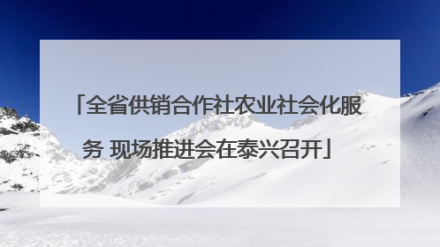 全省供销合作社农业社会化服务 现场推进会在泰兴召开
