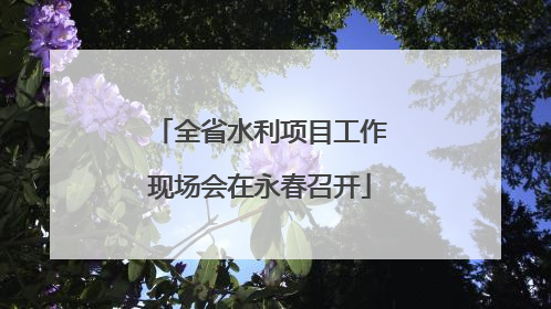 全省水利项目工作现场会在永春召开