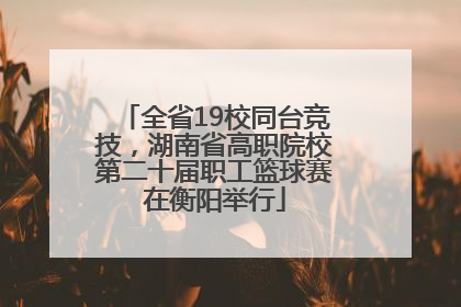 全省19校同台竞技，湖南省高职院校第二十届职工篮球赛在衡阳举行