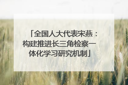 全国人大代表宋燕：构建推进长三角检察一体化学习研究机制