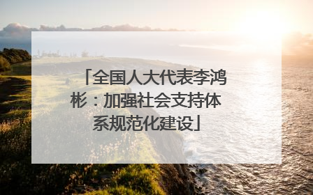 全国人大代表李鸿彬：加强社会支持体系规范化建设