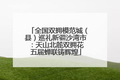 全国双拥模范城（县）巡礼新疆沙湾市：天山北麓双拥花 五届蝉联铸辉煌