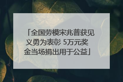全国劳模宋兆普获见义勇为表彰 5万元奖金当场捐出用于公益