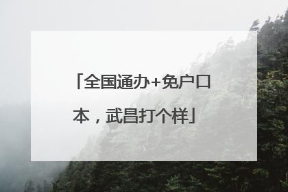 全国通办+免户口本，武昌打个样