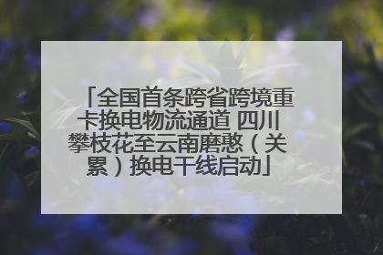 全国首条跨省跨境重卡换电物流通道 四川攀枝花至云南磨憨（关累）换电干线启动