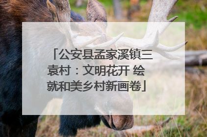 公安县孟家溪镇三袁村：文明花开 绘就和美乡村新画卷