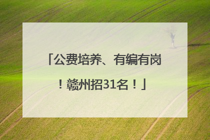 公费培养、有编有岗！赣州招31名！