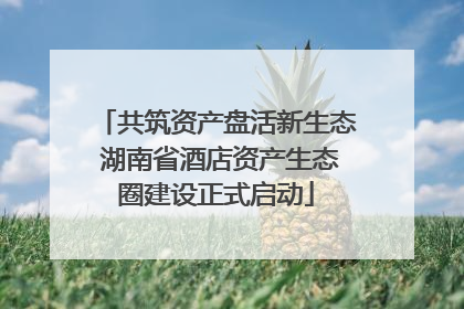 共筑资产盘活新生态 湖南省酒店资产生态圈建设正式启动