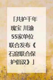共护千年瑰宝 川渝55家单位联合发布《石窟联合保护倡议》