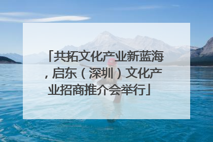共拓文化产业新蓝海，启东（深圳）文化产业招商推介会举行