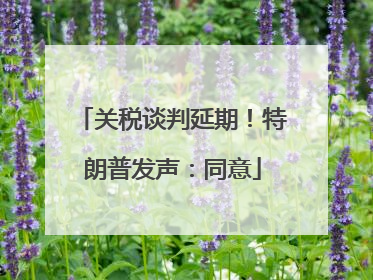 关税谈判延期！特朗普发声：同意