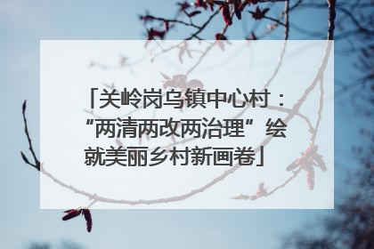 关岭岗乌镇中心村：“两清两改两治理”绘就美丽乡村新画卷