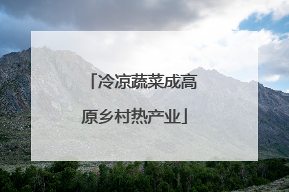 冷凉蔬菜成高原乡村热产业