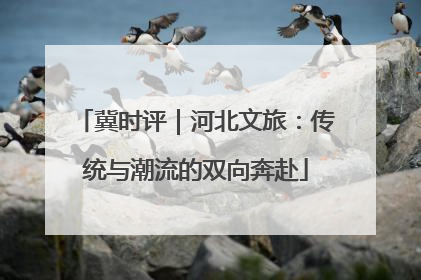 冀时评｜河北文旅：传统与潮流的双向奔赴