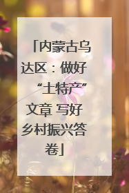 内蒙古乌达区：做好“土特产”文章 写好乡村振兴答卷