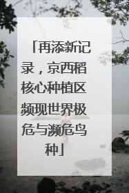 再添新记录，京西稻核心种植区频现世界极危与濒危鸟种