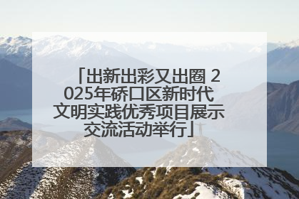 出新出彩又出圈 2025年硚口区新时代文明实践优秀项目展示交流活动举行