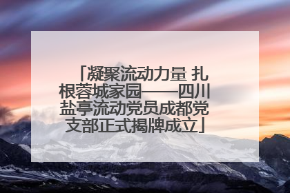 凝聚流动力量 扎根蓉城家园——四川盐亭流动党员成都党支部正式揭牌成立