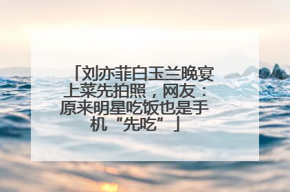 刘亦菲白玉兰晚宴上菜先拍照，网友：原来明星吃饭也是手机“先吃”
