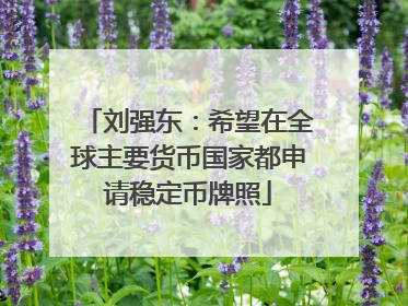 刘强东：希望在全球主要货币国家都申请稳定币牌照