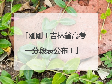 刚刚！吉林省高考一分段表公布！