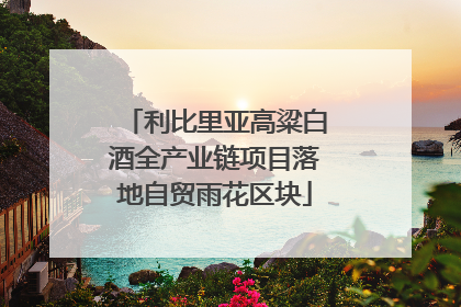 利比里亚高粱白酒全产业链项目落地自贸雨花区块