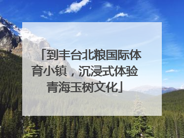 到丰台北粮国际体育小镇，沉浸式体验青海玉树文化